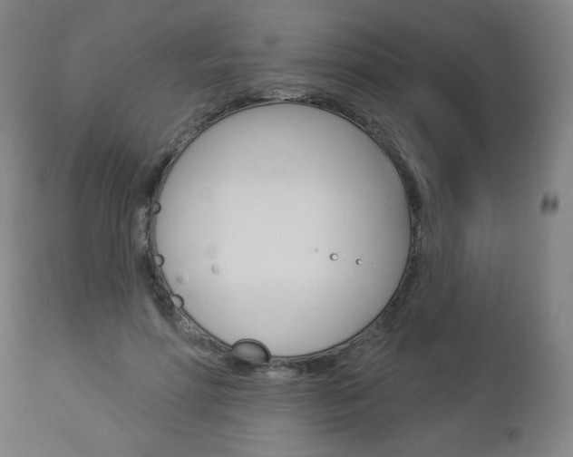 X0000112960598200908270921