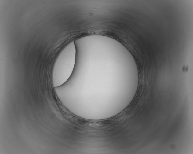 X0000112960599200908270921