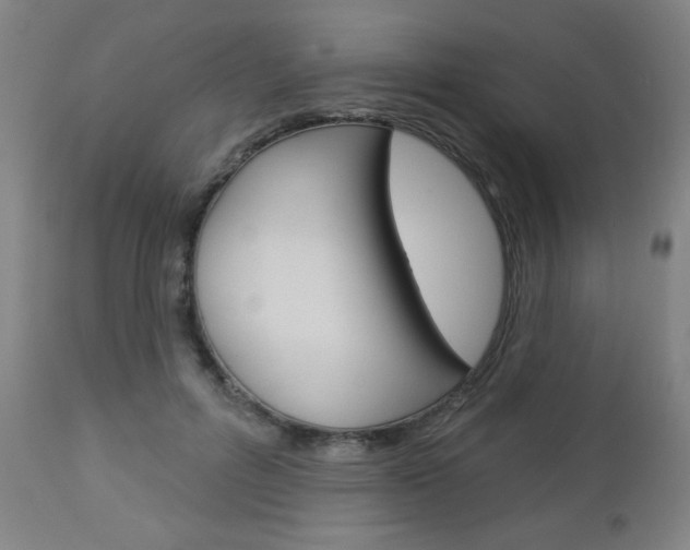 X0000112960600200908270921