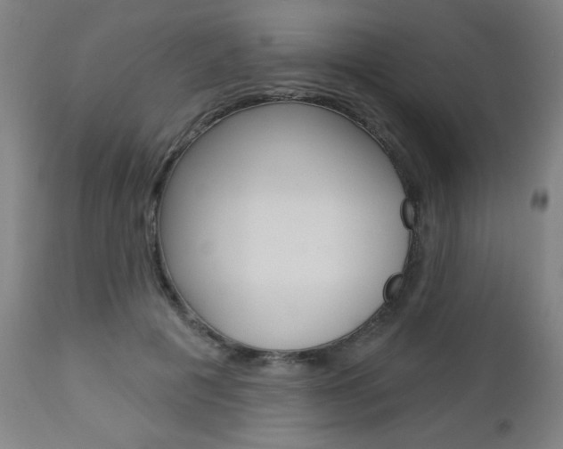 X0000112960601200908270921