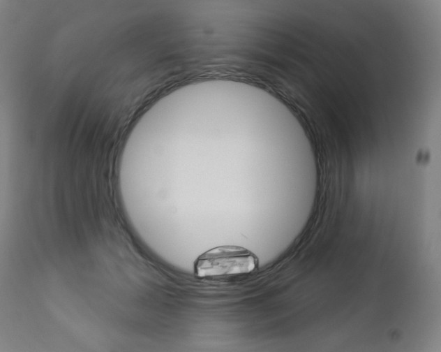 X0000112960605200908270921