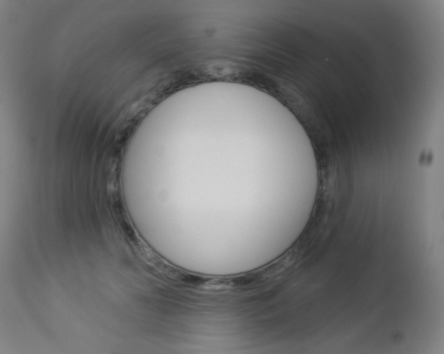 X0000112960606200908270921