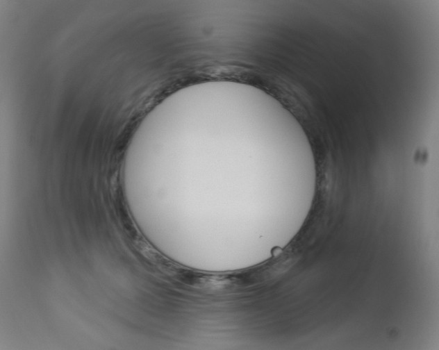 X0000112960607200908270921