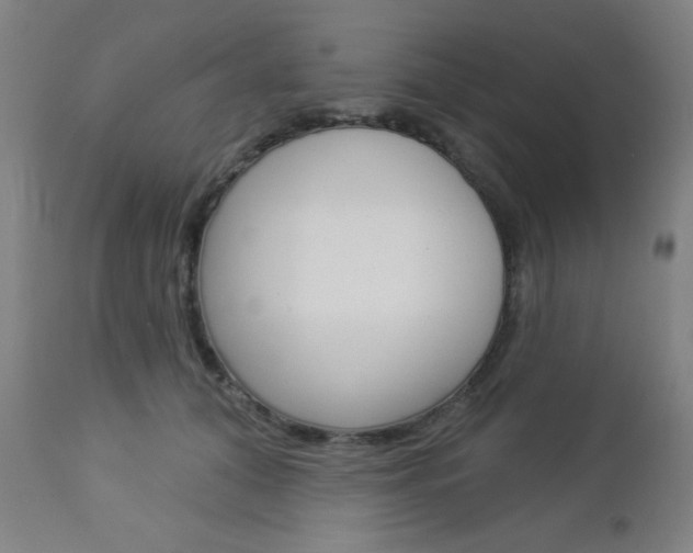 X0000112960608200908270921