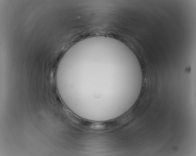 X0000112960610200908270921