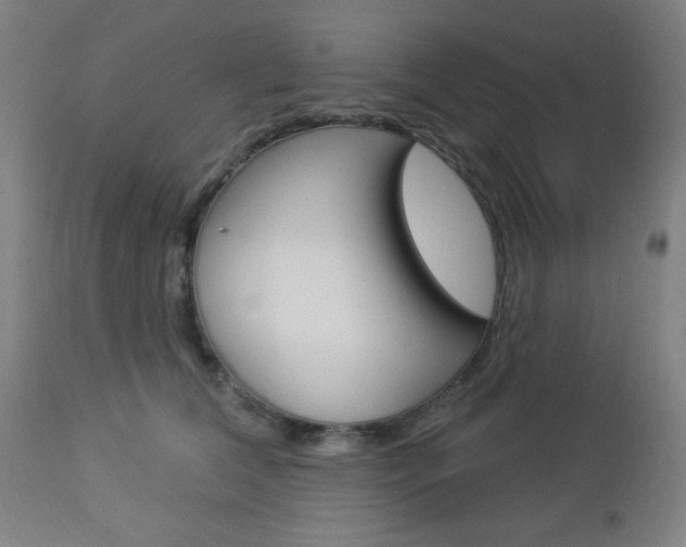 X0000112960612200908270921