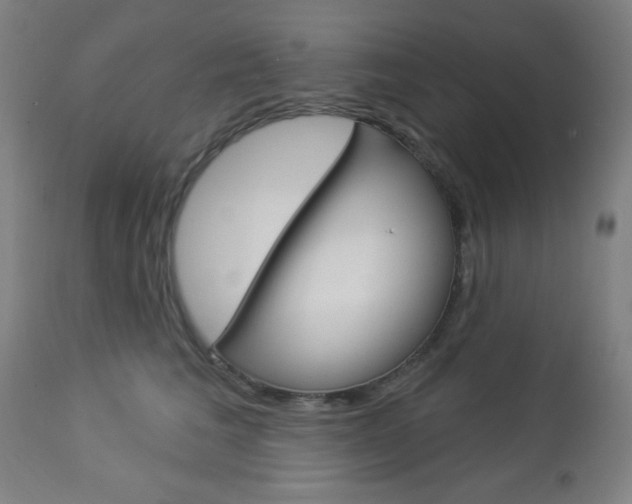 X0000112960613200908270921