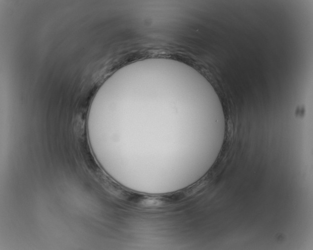 X0000112960614200908270921
