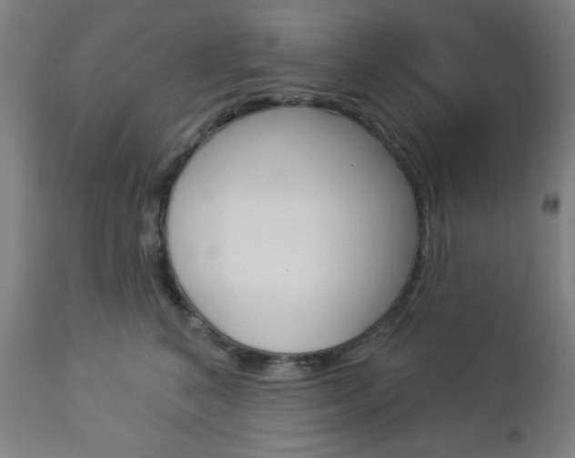 X0000112960616200908270921