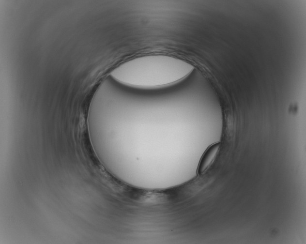 X0000112960617200908270921