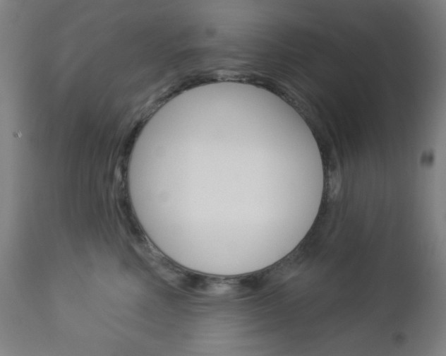 X0000112960618200908270921