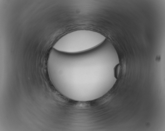X0000112960619200908270921