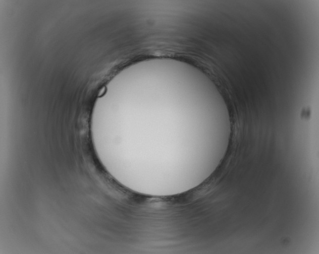 X0000112960620200908270921