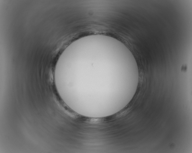 X0000112960622200908270921