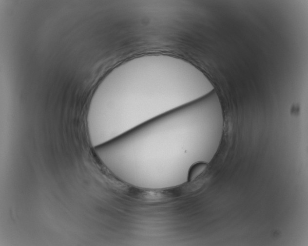 X0000112960623200908270921