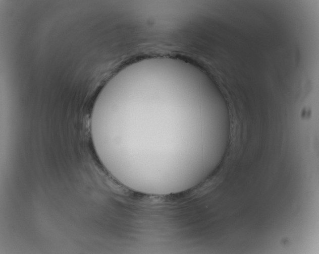 X0000112960624200908270921