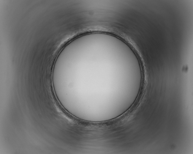 X0000112960625200908270920