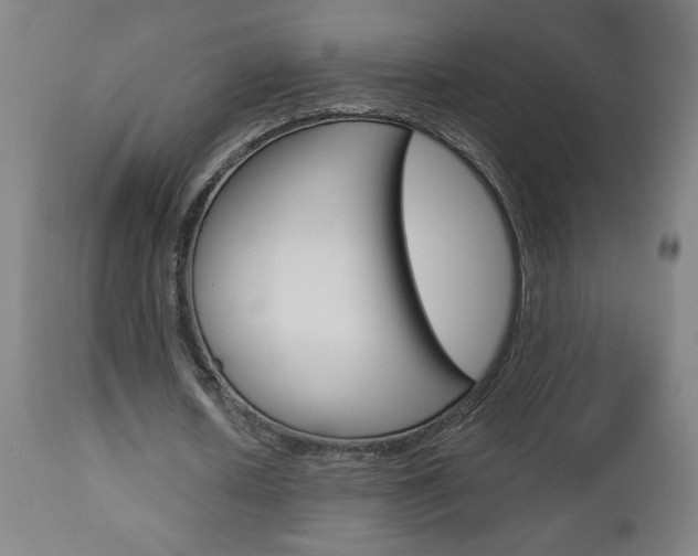 X0000112960626200908270920