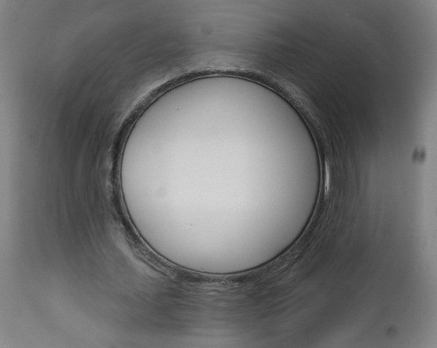 X0000112960627200908270920