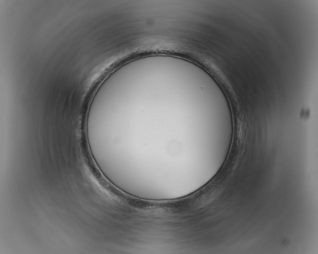 X0000112960629200908270920