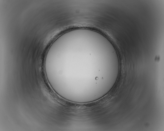 X0000112960631200908270920