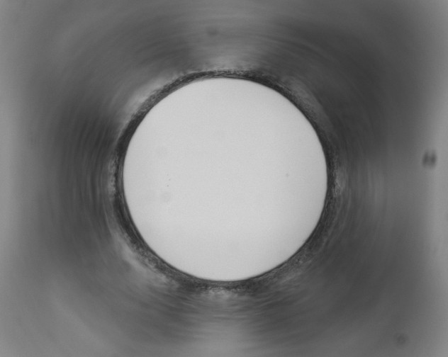 X0000112960632200908270920