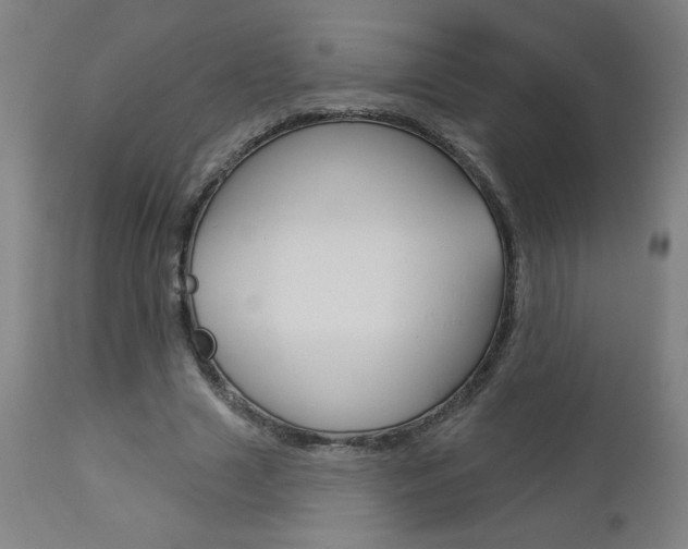 X0000112960633200908270920