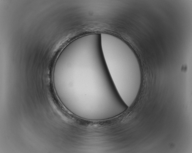 X0000112960634200908270920