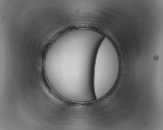 X0000112960637200908270920
