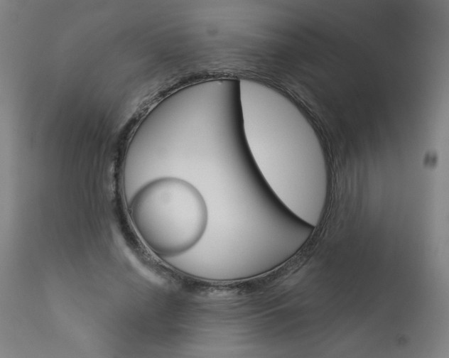 X0000112960638200908270920