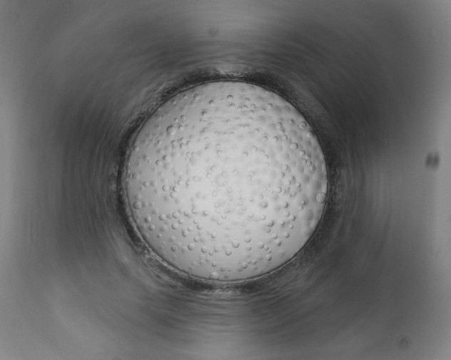 X0000112960639200908270920