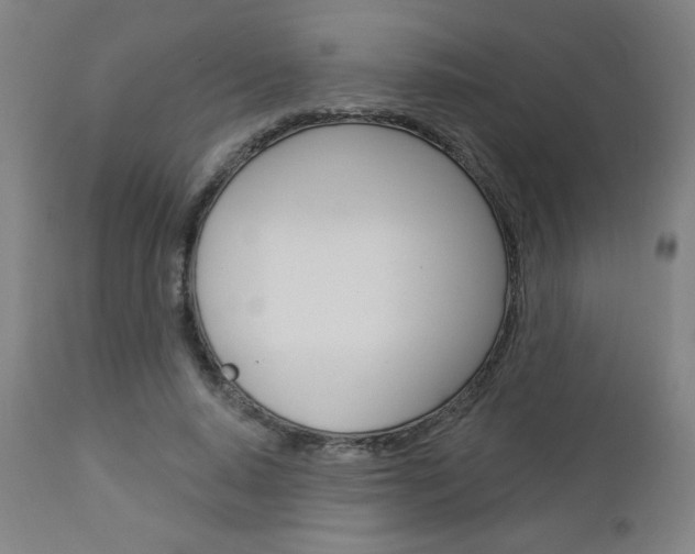 X0000112960640200908270920