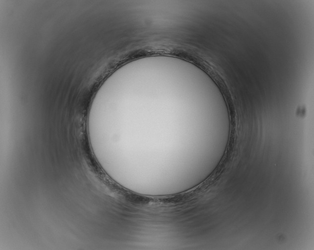 X0000112960641200908270920