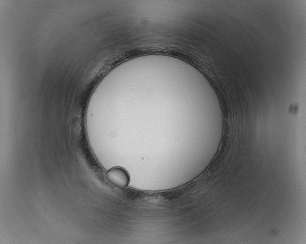 X0000112960642200908270920