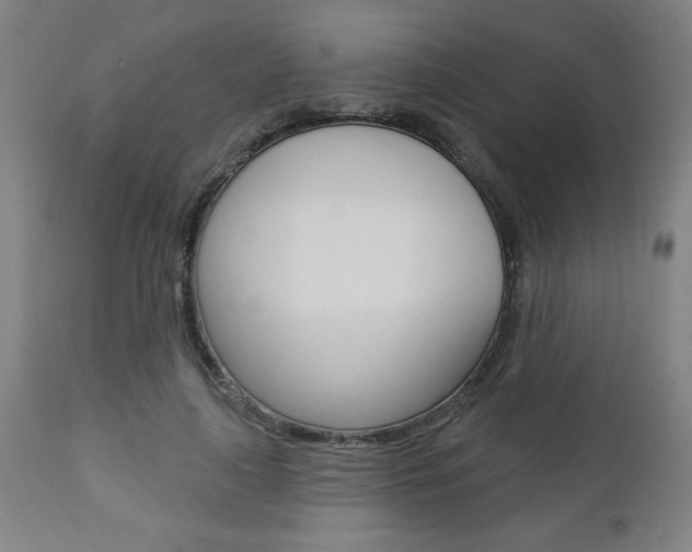 X0000112960643200908270920