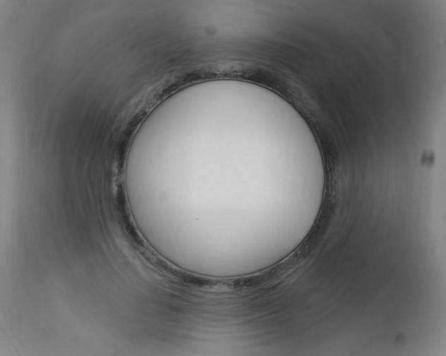 X0000112960644200908270920
