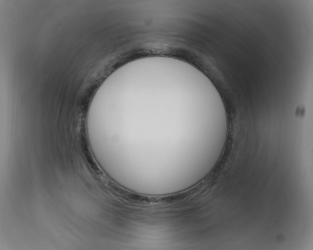 X0000112960645200908270920
