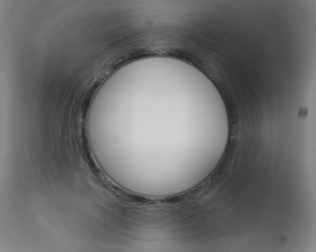 X0000112960646200908270920