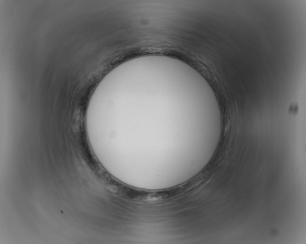 X0000112960647200908270920