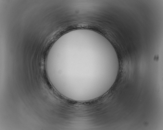 X0000112960648200908270920