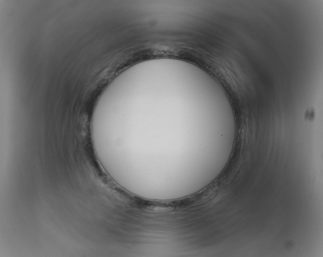 X0000112960649200908270920