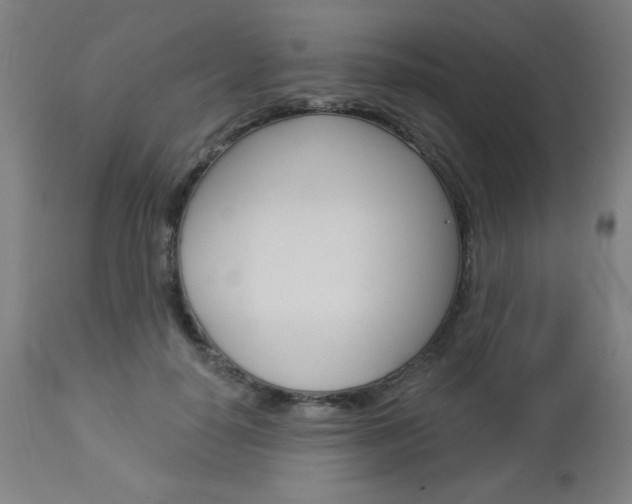 X0000112960650200908270920