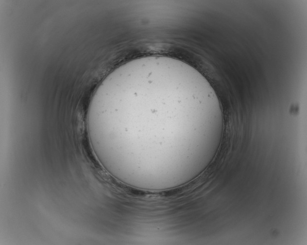 X0000112960651200908270920