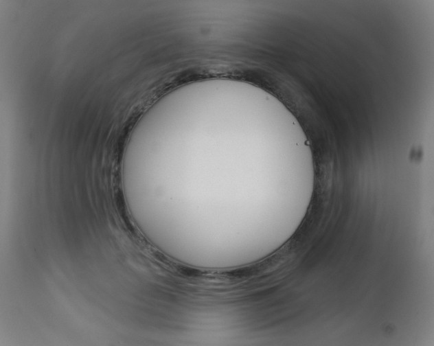 X0000112960653200908270920