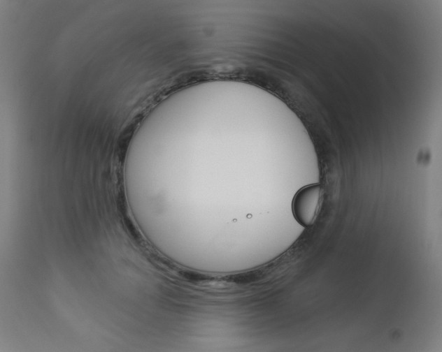 X0000112960654200908270920