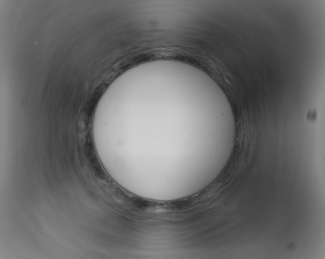 X0000112960655200908270920