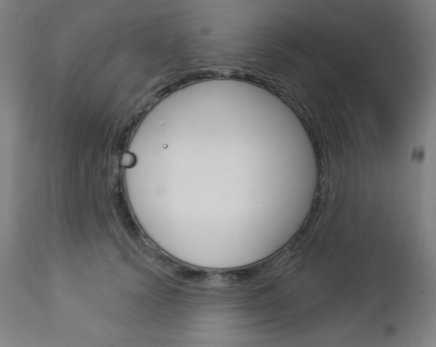 X0000112960656200908270920