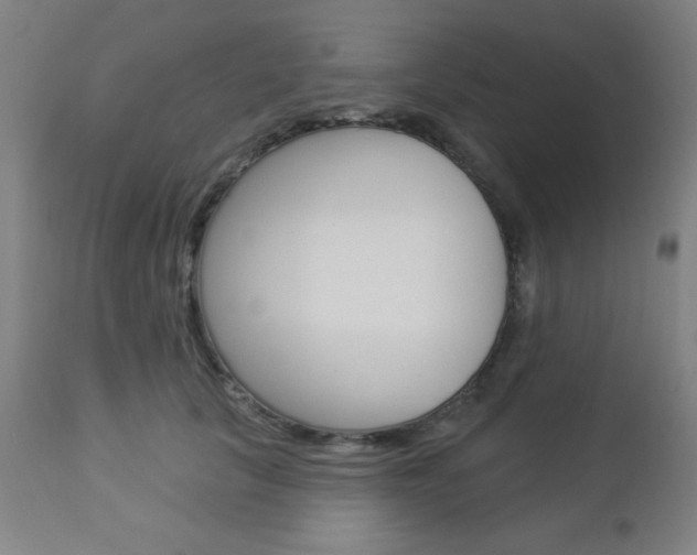 X0000112960657200908270920