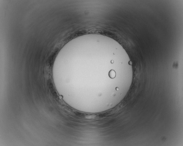 X0000112960659200908270920