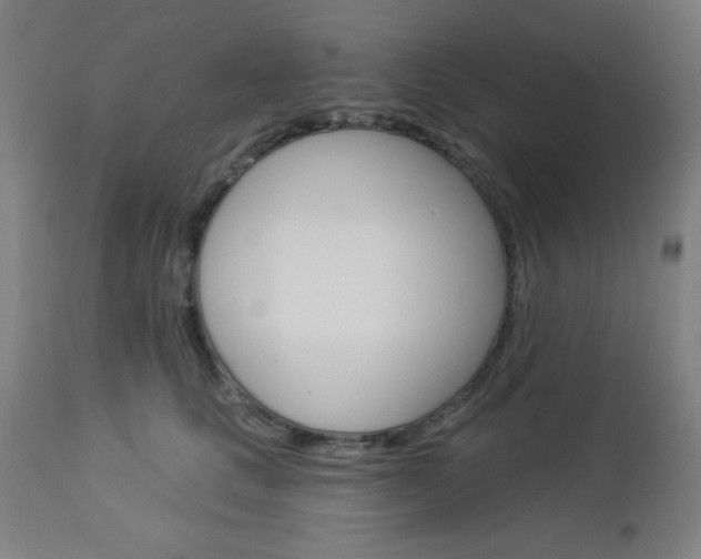 X0000112960661200908270920